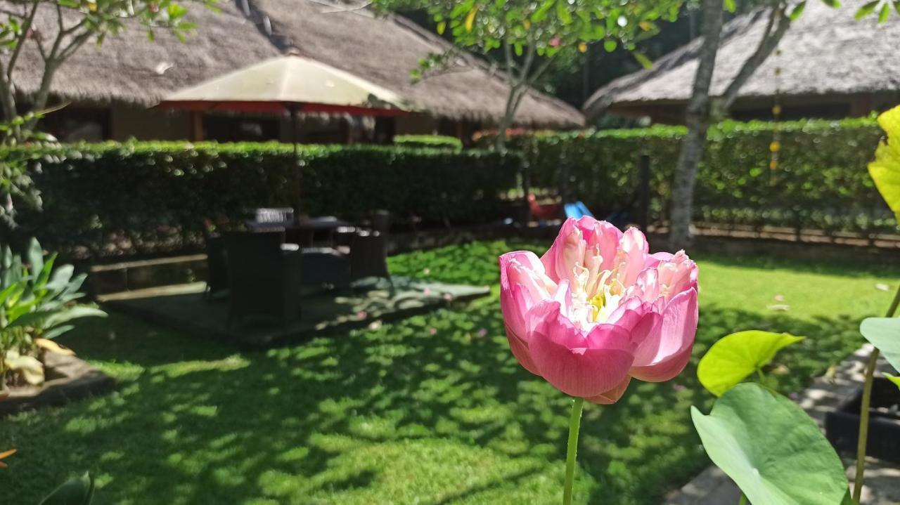 Mama Bella'S Retreat Bed and Breakfast Senggigi Buitenkant foto