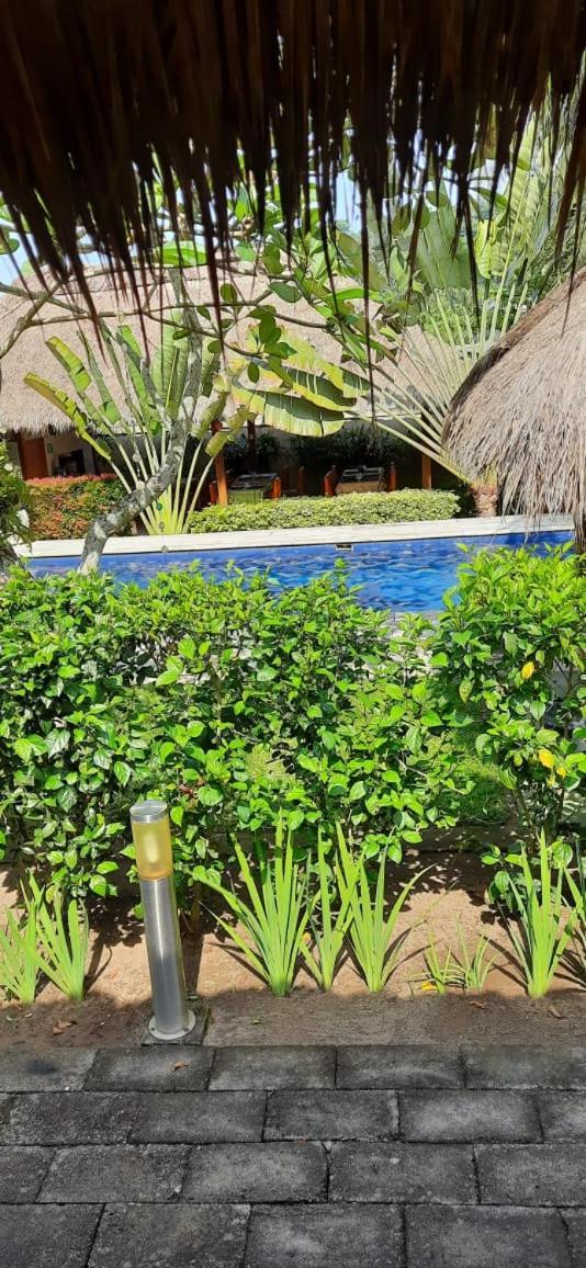 Mama Bella'S Retreat Bed and Breakfast Senggigi Buitenkant foto